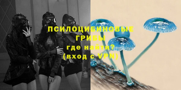 соль ск Дмитров
