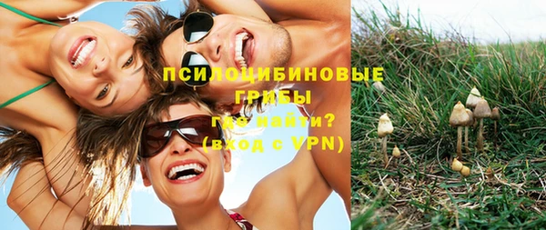 трава Дмитровск