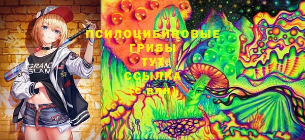соль ск Дмитров