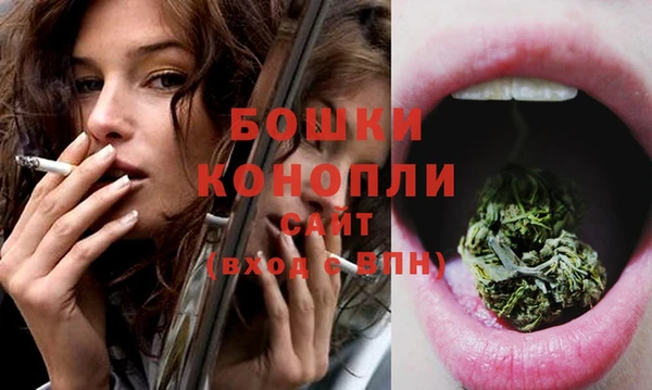 соль ск Дмитров