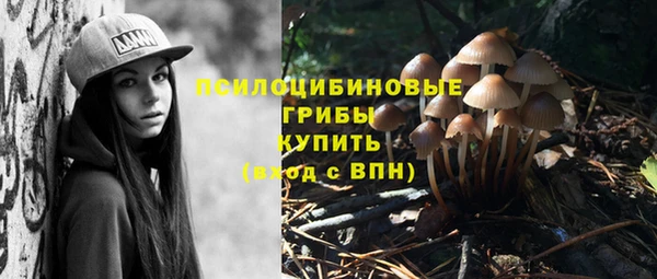 трава Дмитровск