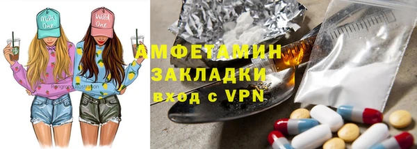 соль ск Дмитров