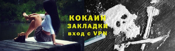 соль ск Дмитров